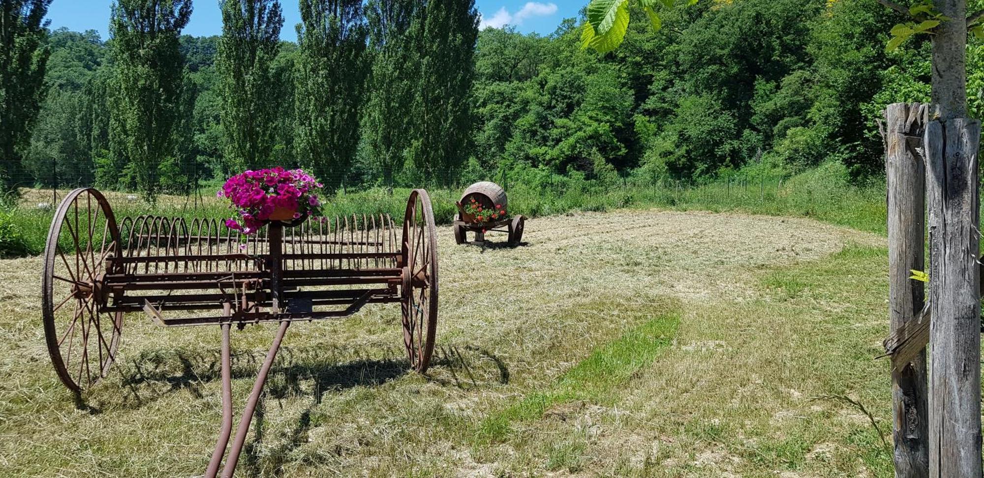 Villa Il Ciottone Nocera Umbra Esterno foto